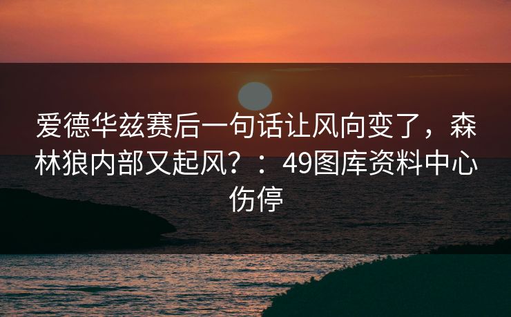 爱德华兹赛后一句话让风向变了，森林狼内部又起风？：49图库资料中心伤停